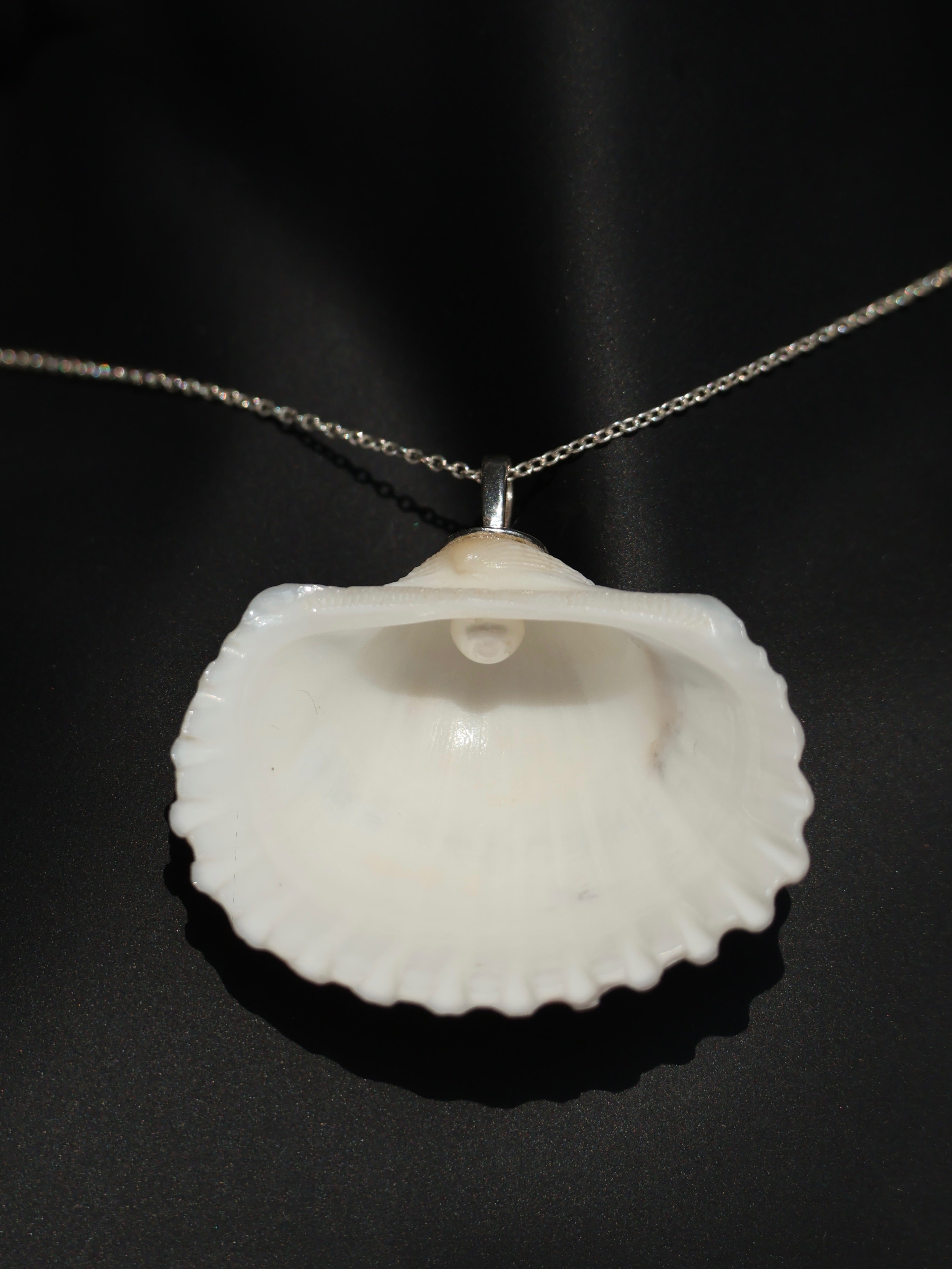 Colier White Shell of Serenity