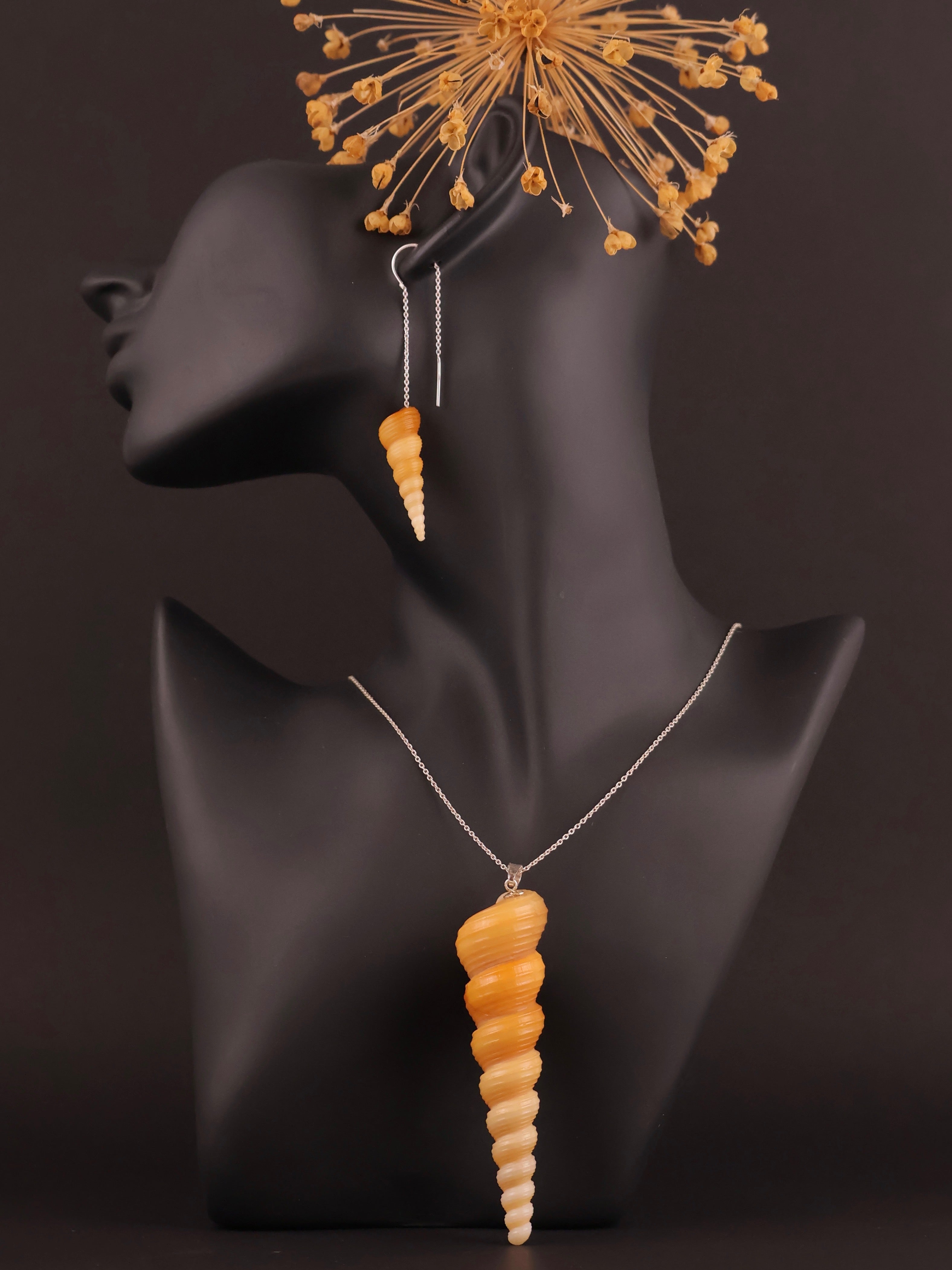 Set Turritella Caramel