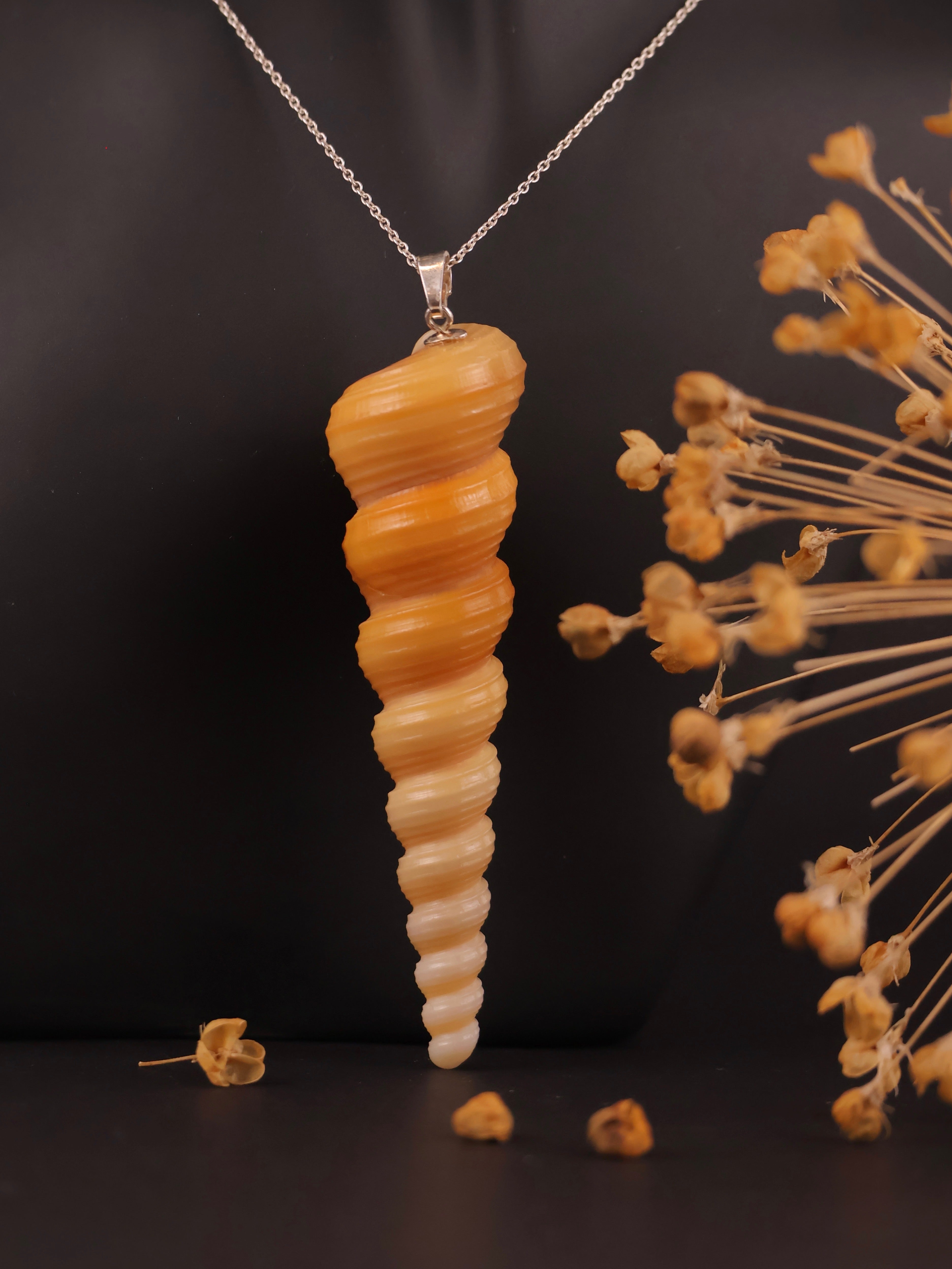 Set Turritella Caramel