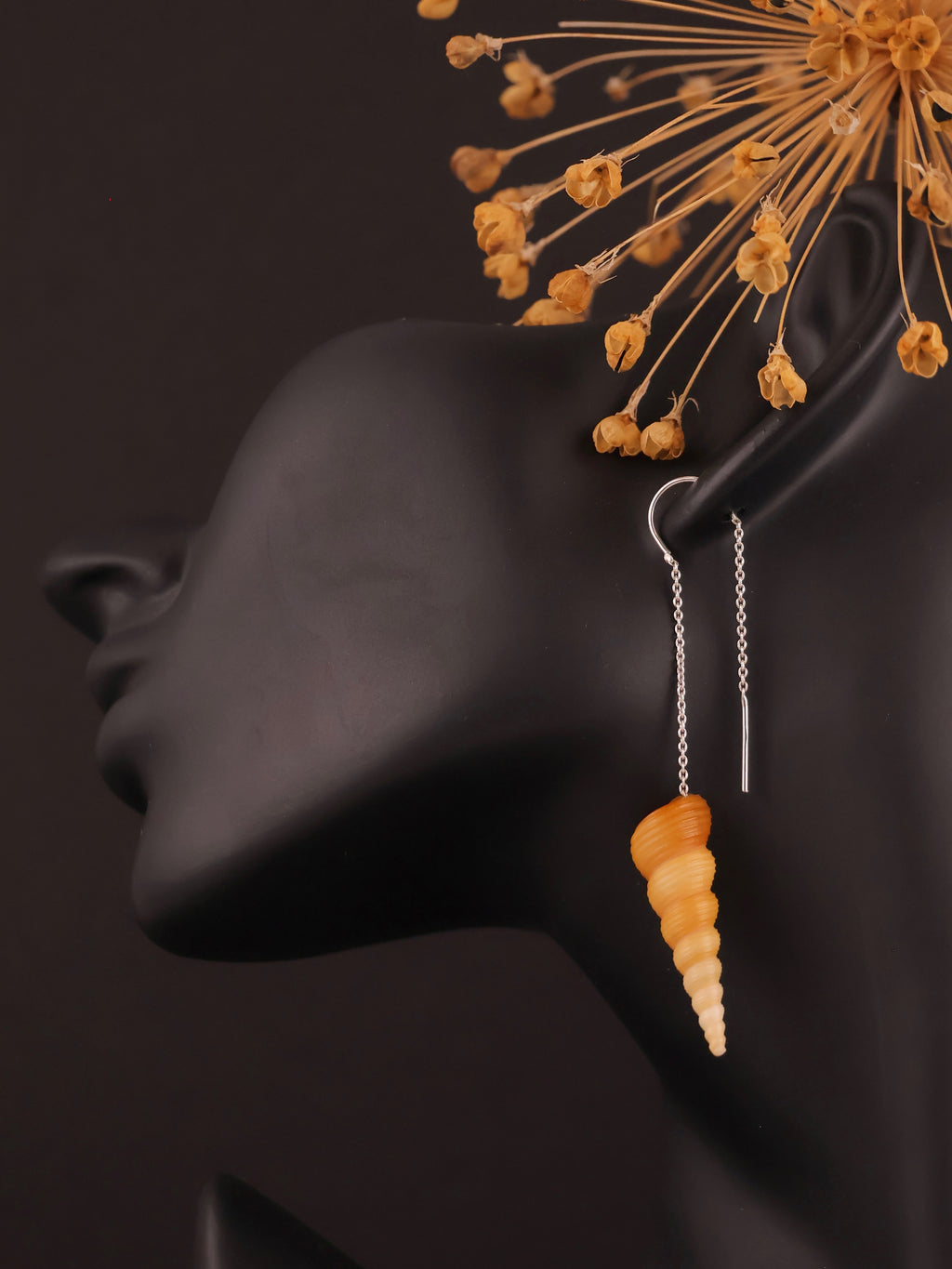 Set Turritella Caramel