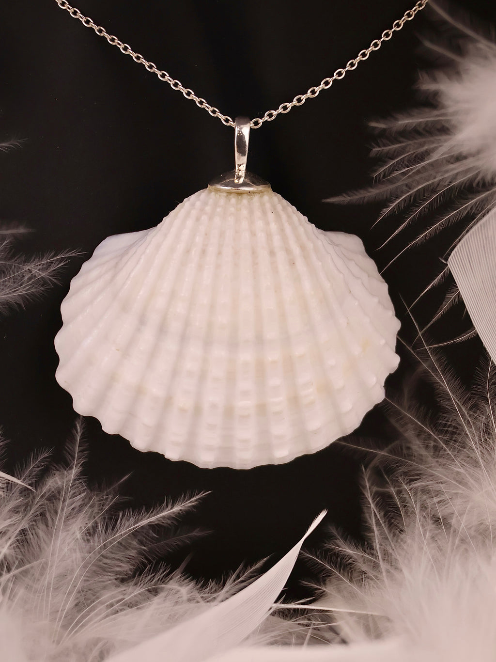 Colier White Shell of Serenity