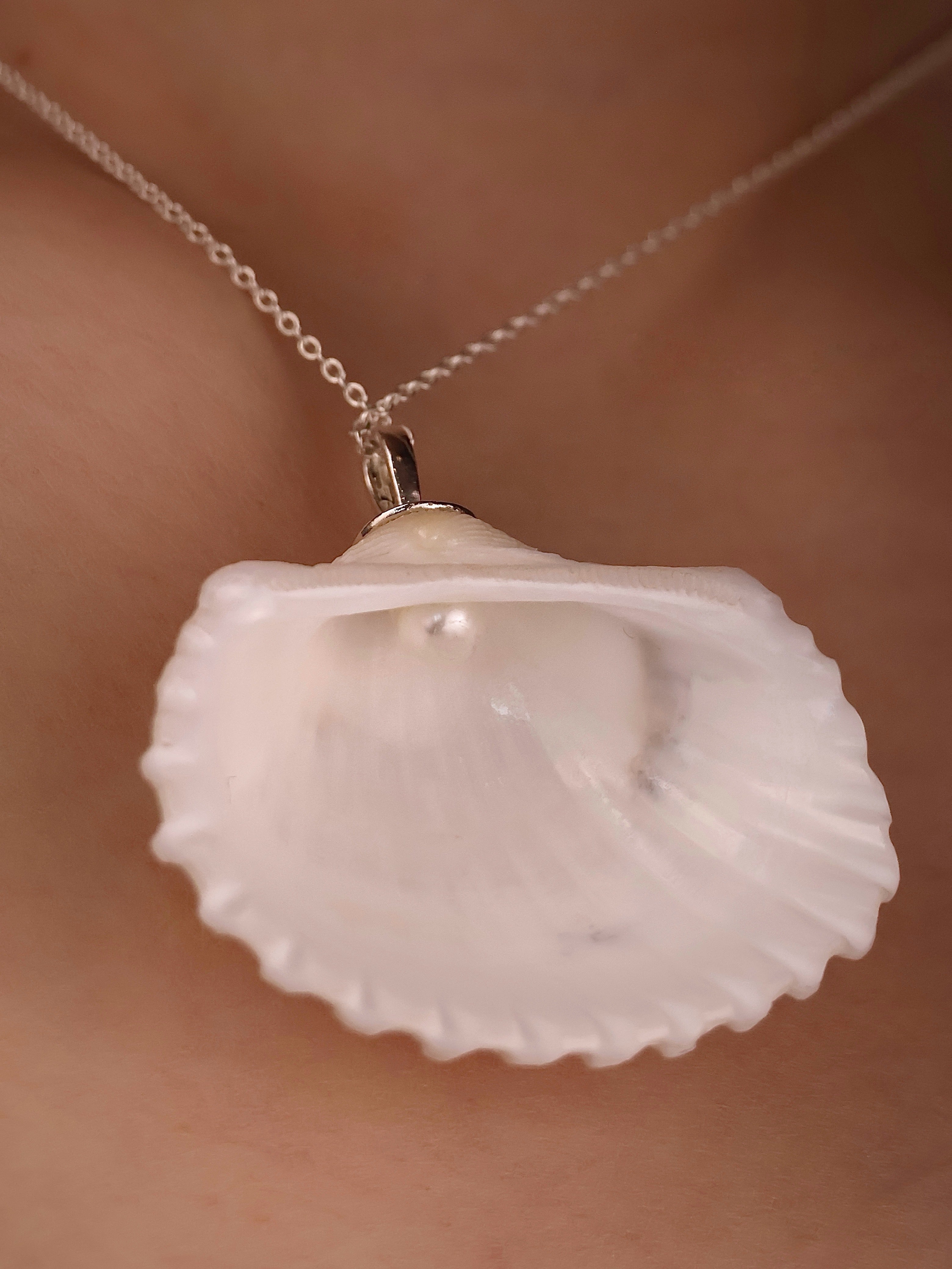Colier White Shell of Serenity