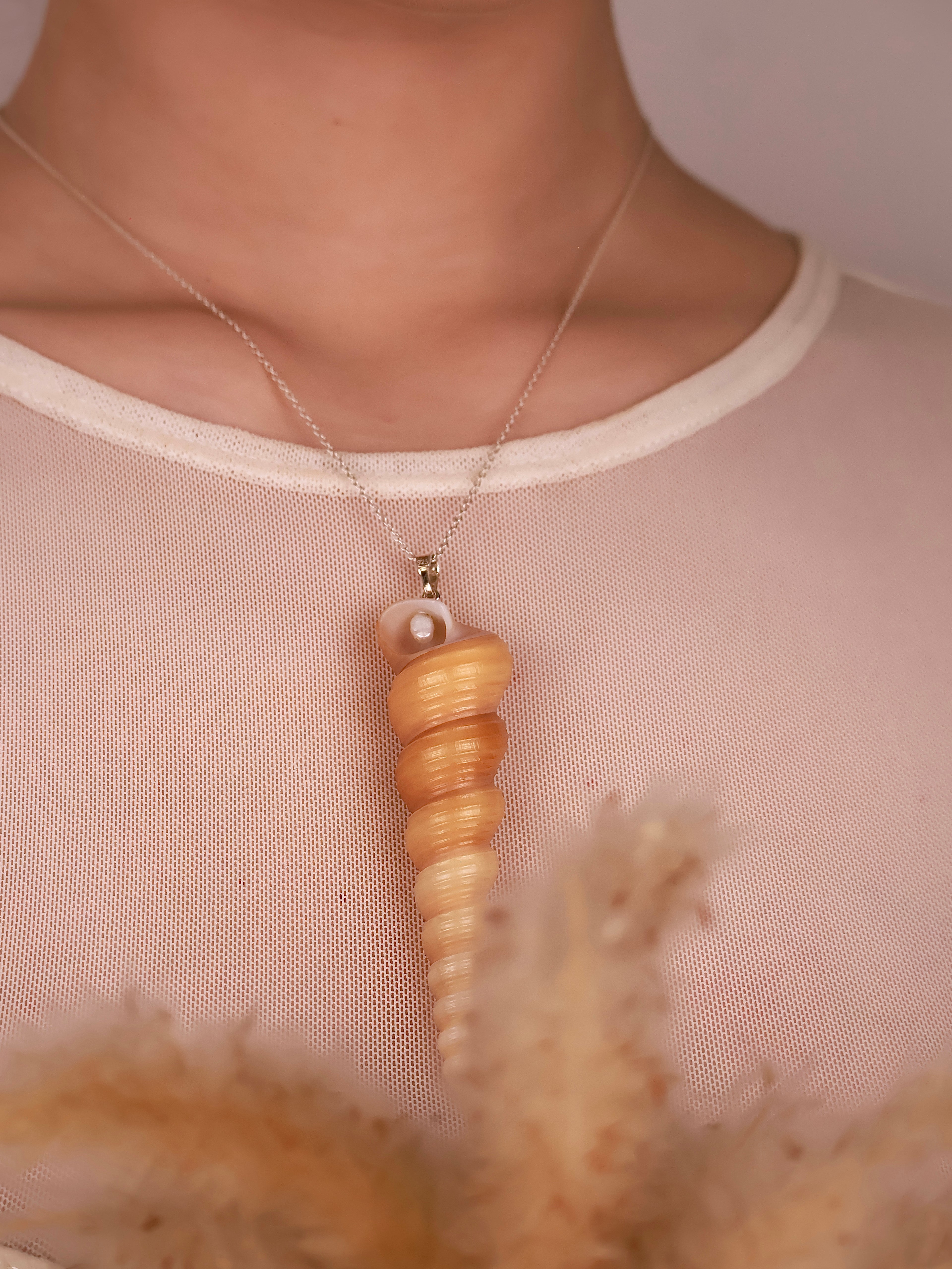 Set Turritella Caramel